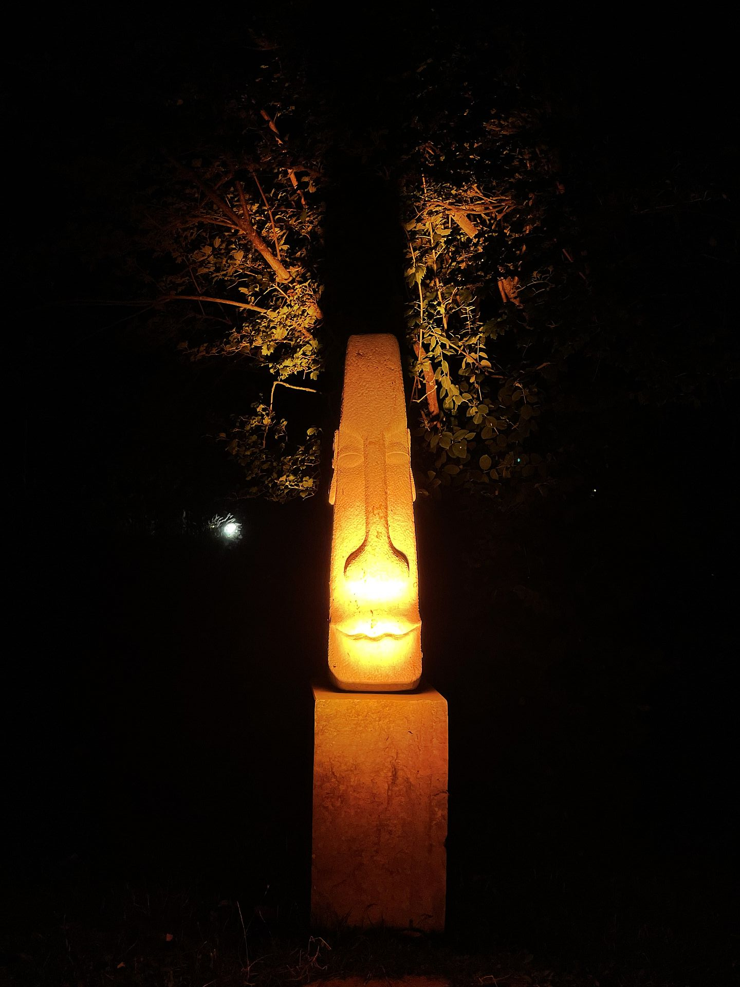 Lichterglanz im Rosenpark
